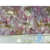 PARURE MATRIMONIALE IN COTONE