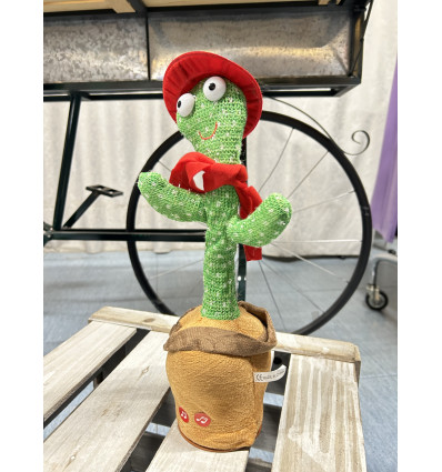 CACTUS BALLERINO